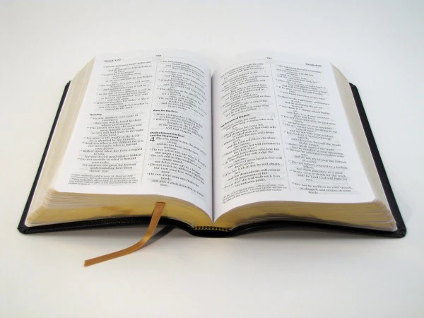 Open scripture with soft natural light